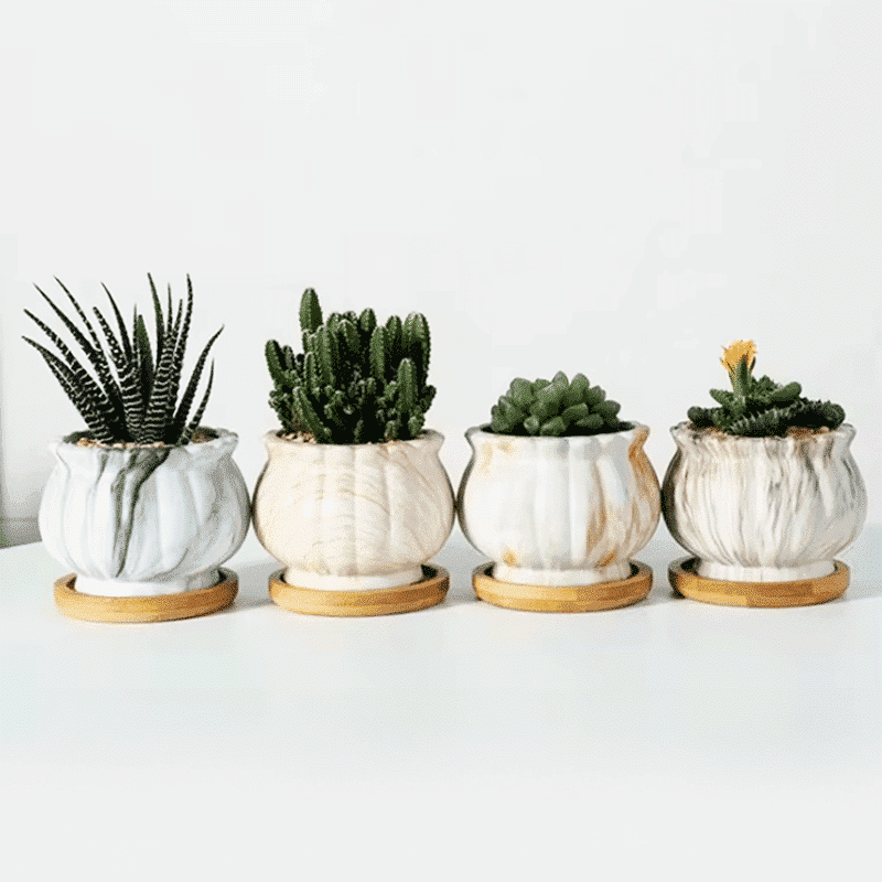 3-Inch Cinzia Ivory Ceramic Succulent Planter Pots with Bamboo Trays | Set of 4 - View 1