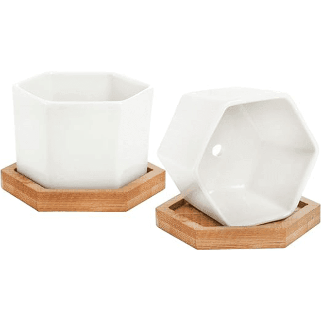 2.5 Inch Small Hexagon Ceramic Succulent Pot with Bamboo Tray
