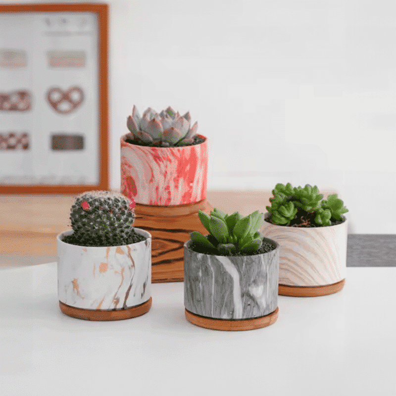 3.5-Inch Nordic Marble Colorful Stripe Ceramic Succulent Pots with Bamboo Trays | Set of 4 - View 1