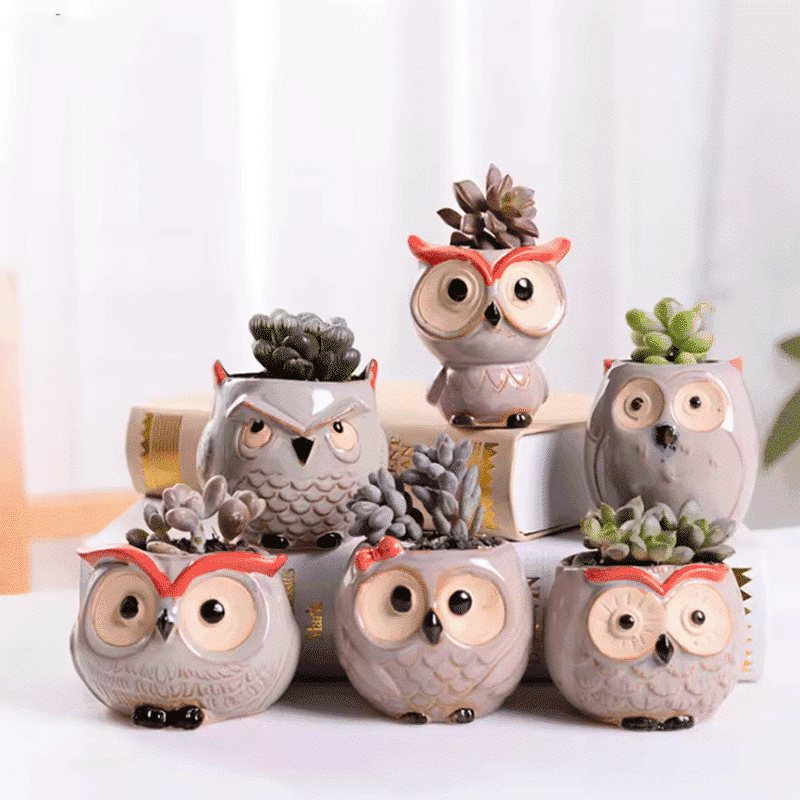 2.5-Inch Cute Ceramic Owl Succulent Planter Pots | Set of 6 - View 1