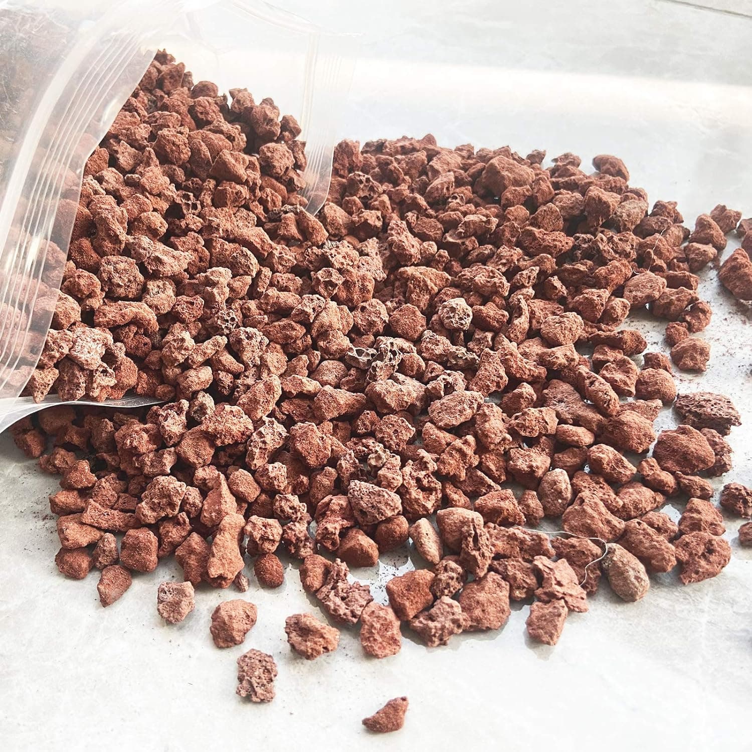 Red Lava Rock | 紅火山岩